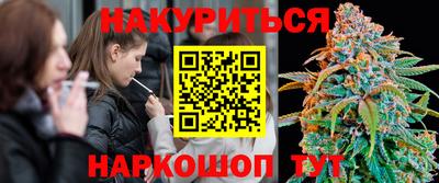 трава Будённовск