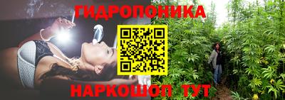 трава Будённовск