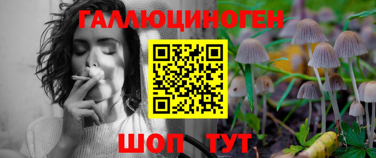 Южно-Сахалинск  купить   Вход с VPN  Галлюциногенные грибы GOLDEN TEACHER  Галлюциногенные грибы Psilocybe 